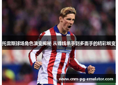 托雷斯球场角色演变揭秘 从锋线杀手到多面手的精彩蜕变