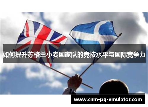 如何提升苏格兰小麦国家队的竞技水平与国际竞争力 如何提升苏格兰小麦国家队的竞技水平与国际竞争力