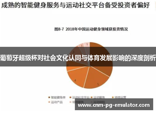 葡萄牙超级杯对社会文化认同与体育发展影响的深度剖析 葡萄牙超级杯对社会文化认同与体育发展影响的深度剖析