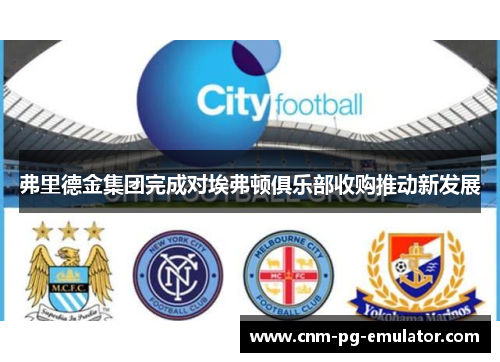 弗里德金集团完成对埃弗顿俱乐部收购推动新发展
