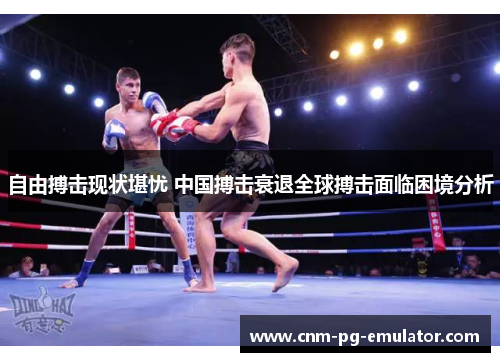 自由搏击现状堪忧 中国搏击衰退全球搏击面临困境分析