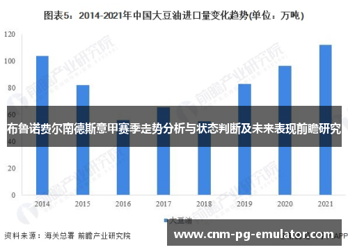 布鲁诺费尔南德斯意甲赛季走势分析与状态判断及未来表现前瞻研究 布鲁诺费尔南德斯意甲赛季走势分析与状态判断及未来表现前瞻研究
